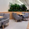 The Coffee Bean & Tea Leaf - Suntec City | Product Seen: [Courtney Lounger]